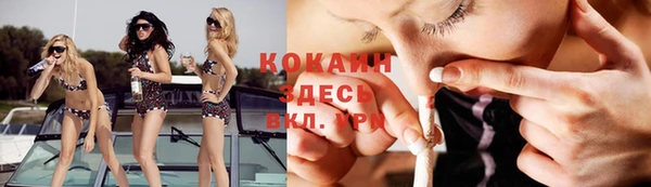 прущие грибы Алексин