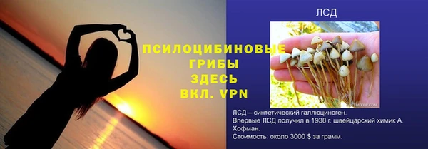 прущие грибы Алексин