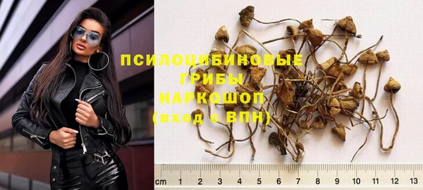 прущие грибы Алексин
